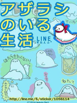 与海豹宝宝一起生活