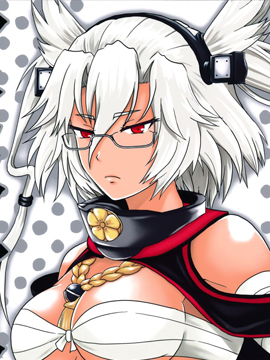 舰队司令狂想曲