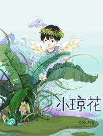 小琼花