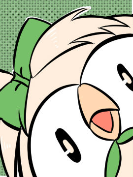 南小鸟的奇妙冒险