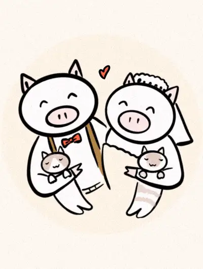 猪猫的日常四格