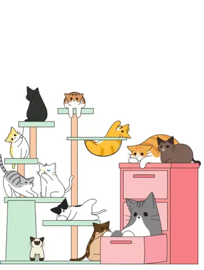 吐司猫咪POUNDCAT