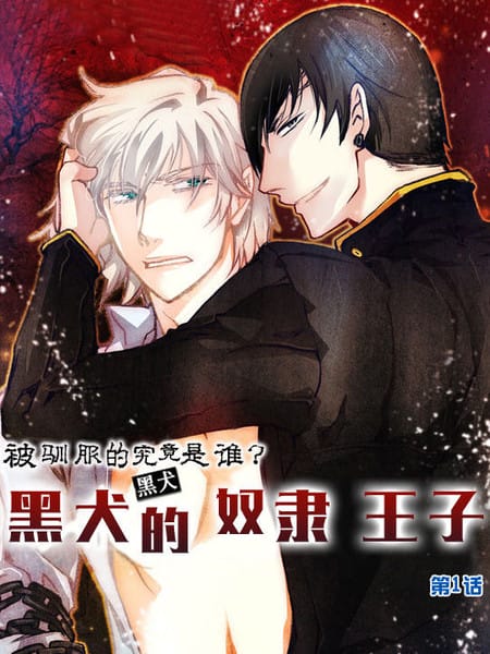 黑犬的奴隶王子