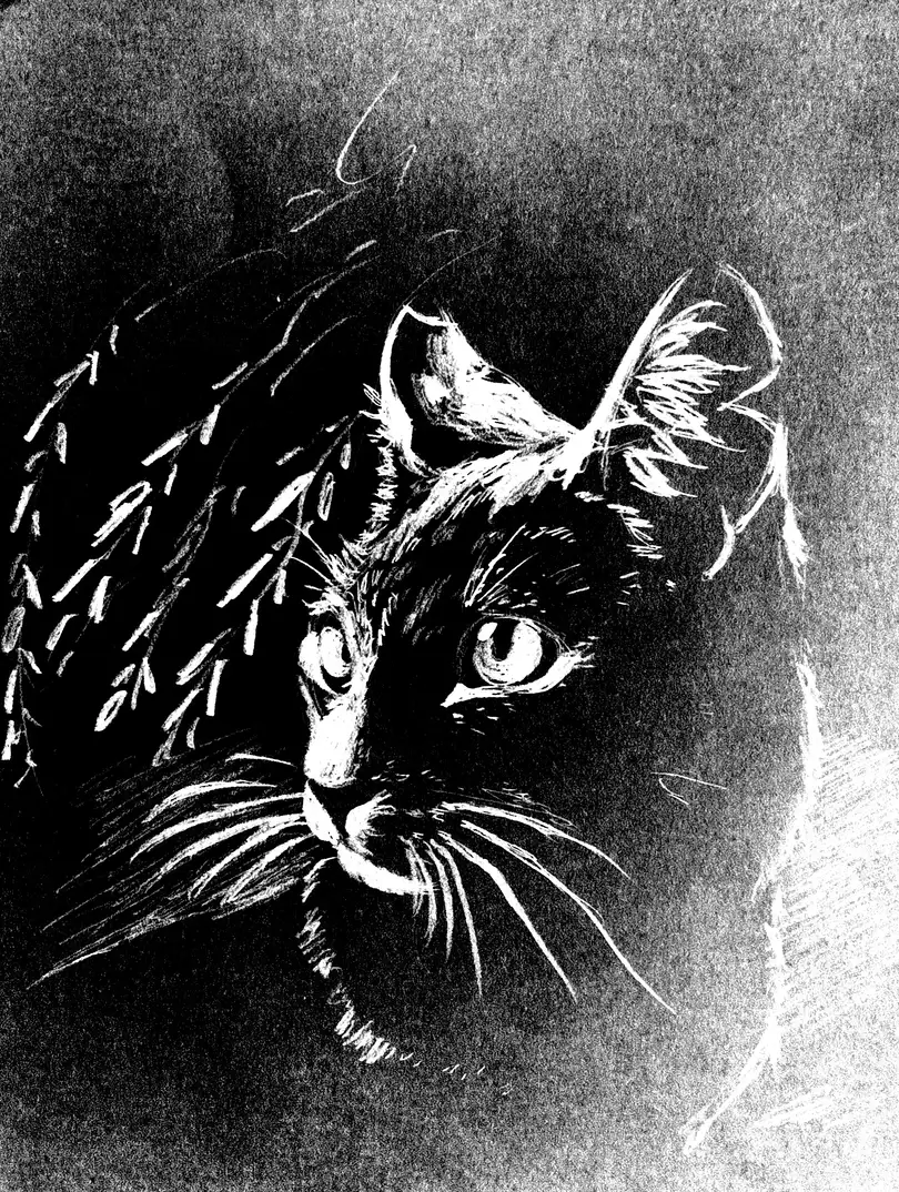 田园游荡 WANDERED